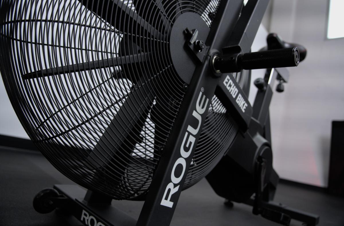 Rogue Echo Bike